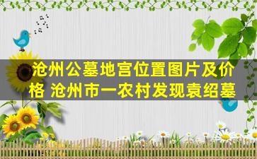 沧州公墓地宫位置图片及价格 沧州市一农村发现袁绍墓